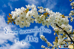 1.mai-00005.jpg