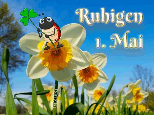 1.mai-00006.gif