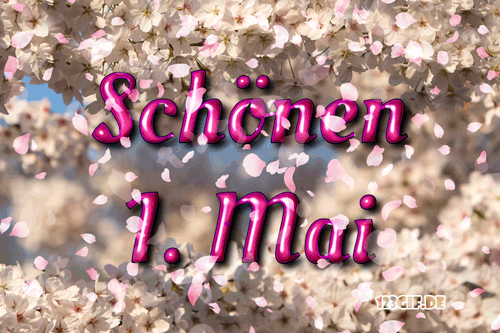 1.mai-00007.gif