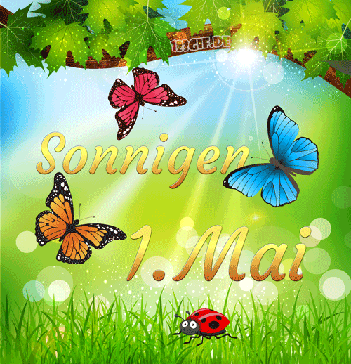 1.mai-00009.gif