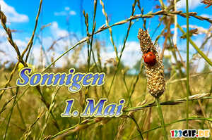 1.mai-00010.jpg