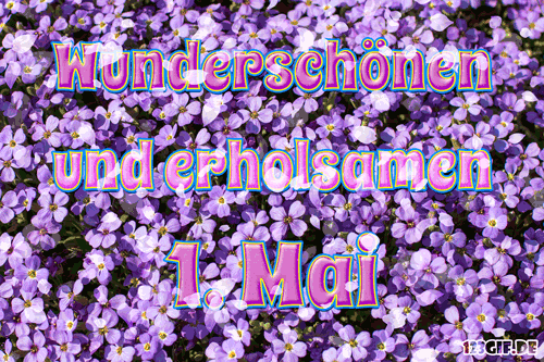 1.mai-00011.gif