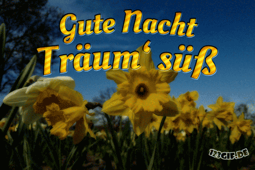 gute-nacht-00028.gif