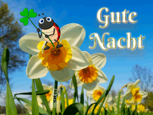 gute-nacht-00029.gif