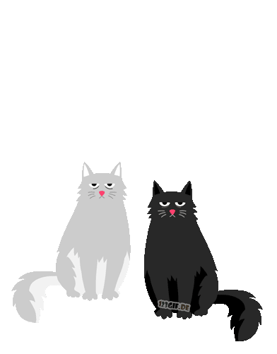 happy-halloween-00014.gif