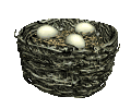 Osternest