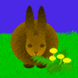 osterwiese-00002.gif