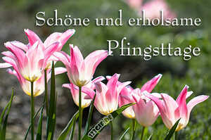 pfingsten-00022.jpg