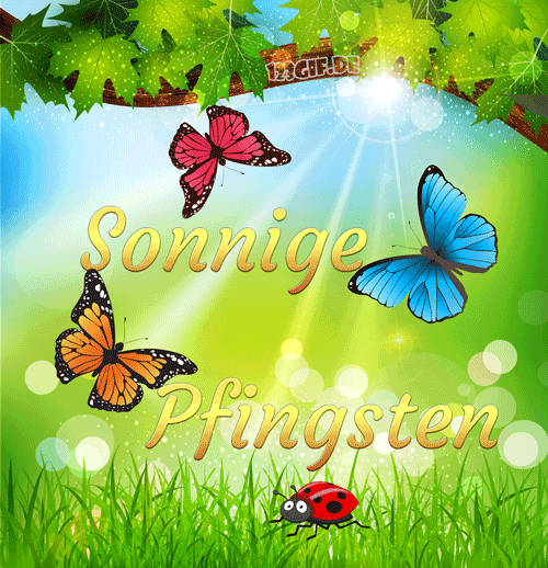 pfingsten-00023.gif