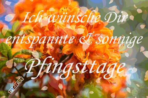 pfingsten-00024.gif