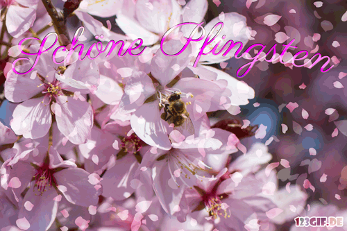 pfingsten-00026.gif