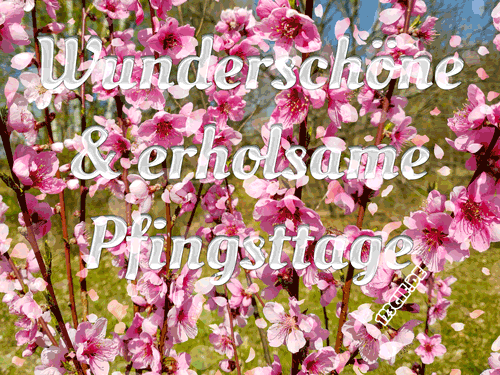 pfingsten-00028.gif
