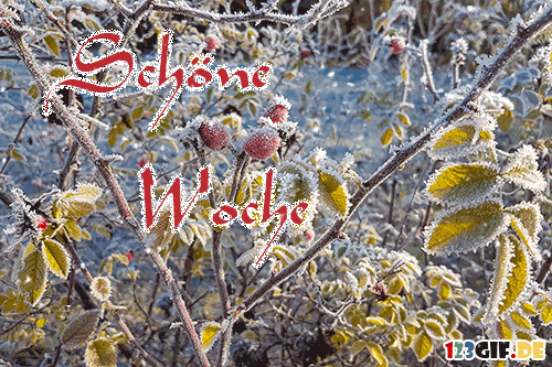 schoene-woche-00002.gif
