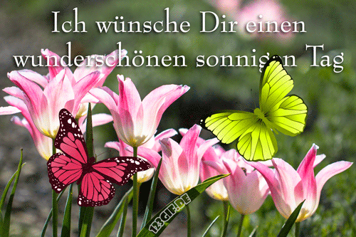 schoenen-tag-00014.gif