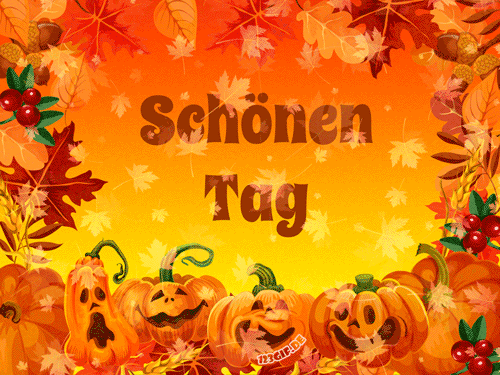 schoenen-tag-00015.gif