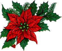 weihnachtssterne-00024.gif