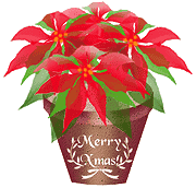 weihnachtssterne-00025.gif
