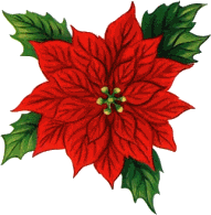 weihnachtssterne-00027.gif