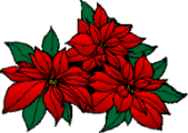 weihnachtssterne-00028.gif