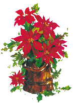 weihnachtssterne-00029.gif