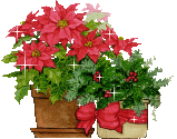 weihnachtssterne-00034.gif